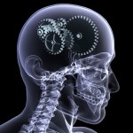 Brain with cogs